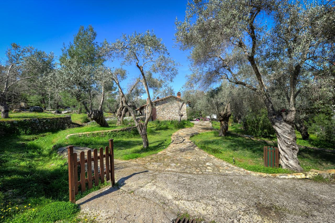 Готель Gera'S Olive Grove - Elaionas Lesvou Marmaro  Екстер'єр фото